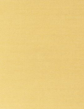 Main product thumbnail of Solid Butter Yellow Flatweave Eco Cotton Rug