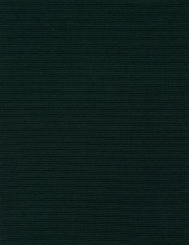 Main product thumbnail of Solid Dark Teal Green Flatweave Eco Cotton Rug